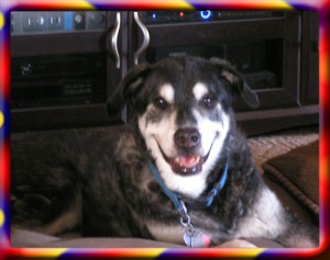 Cody