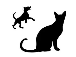 lost and found pets