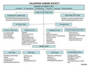CHS Organizational Chart