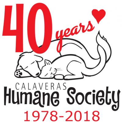 Our 40th Anniversary Our 40th Anniversary