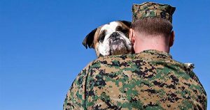 Free pets for vets