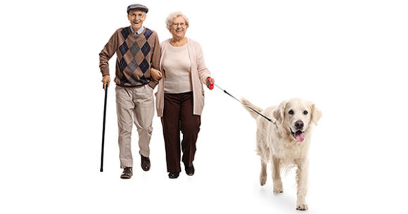 CHS Senior Vet Assistance