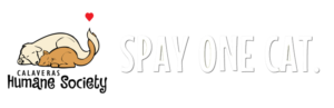 Spay One Cat