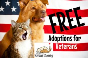Free Adoptions For Vets - cat - dog - flag