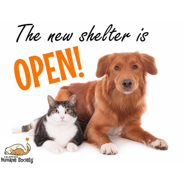 The new shelter is open, June 2020