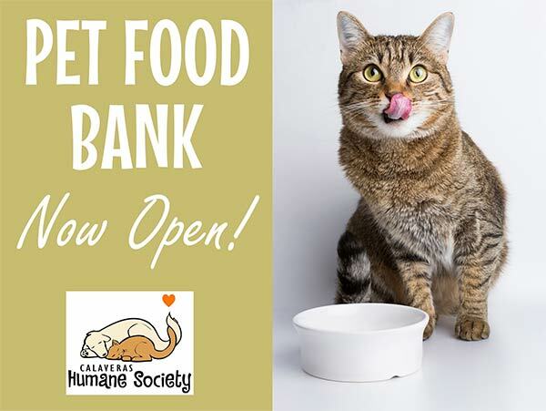 pet food bank open