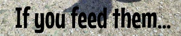 If You Feed Them