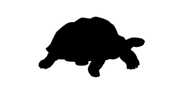 tortoise silhouette