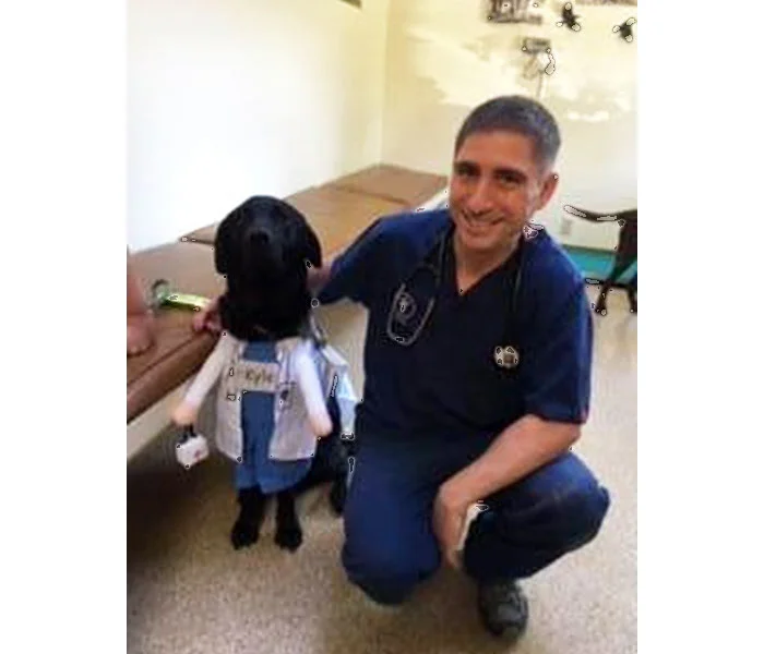 Caemon the dog - costume contest winner