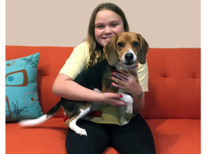 Daisy dog beagle adopted Oct 2019