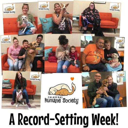 Record setting week 2019