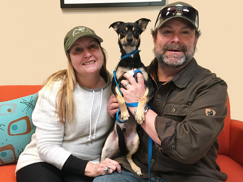 Lupin dog adopted November 2019