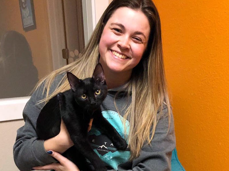 Buster cat adopted November 2019