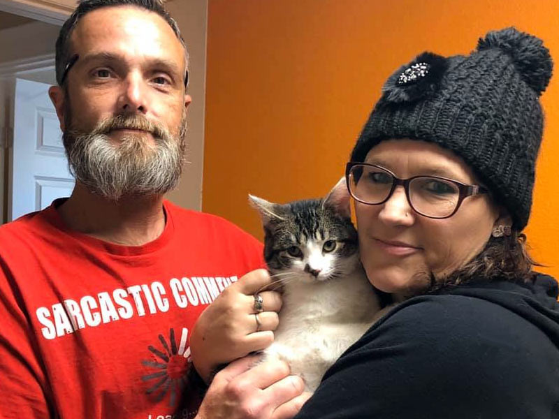 Calypso cat adopted December 2019