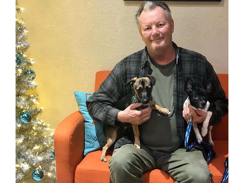 Drum and Sylvester dogs adopted December 2019