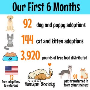 Our First Six Months