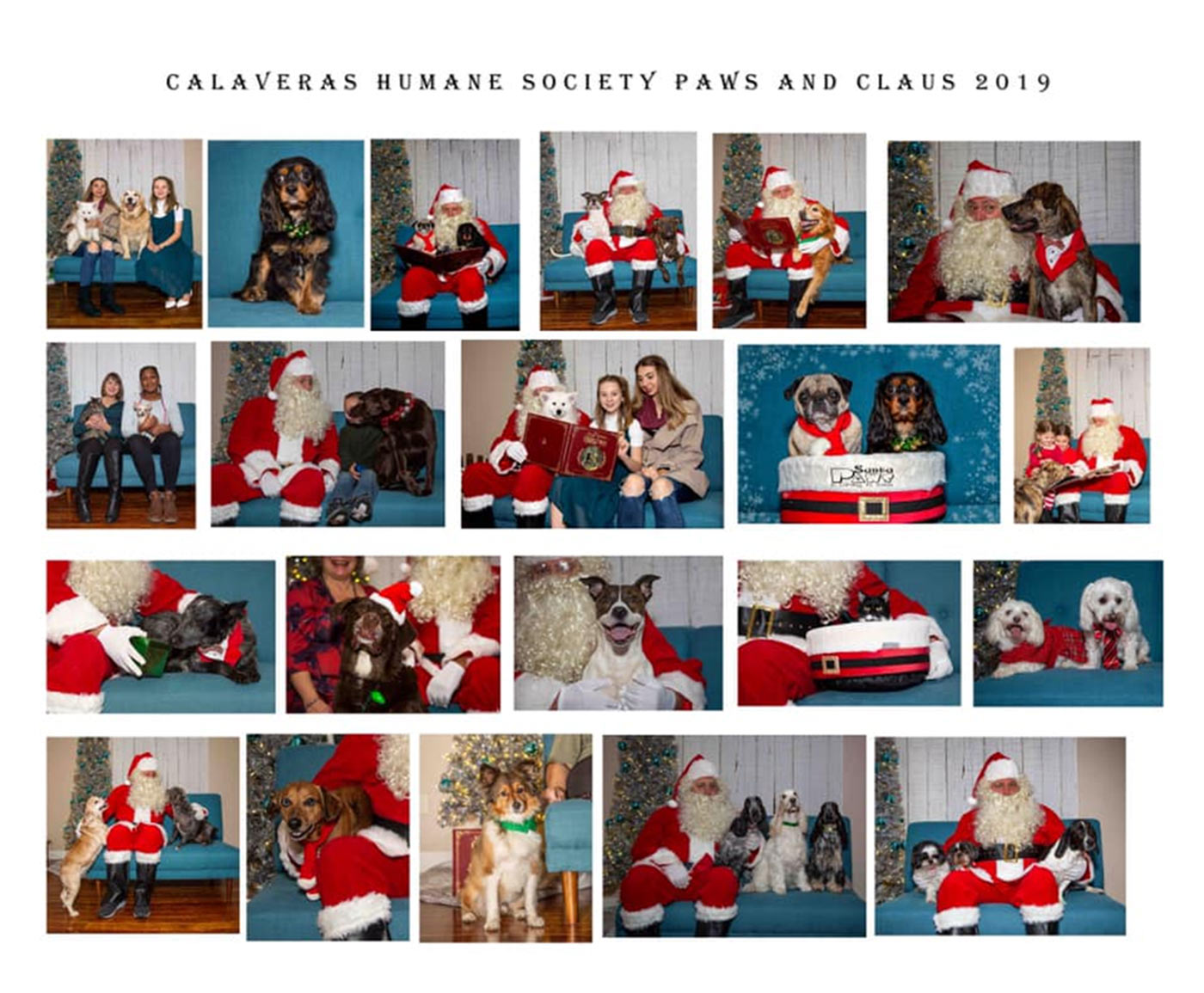 Paws and Claus montage 2019