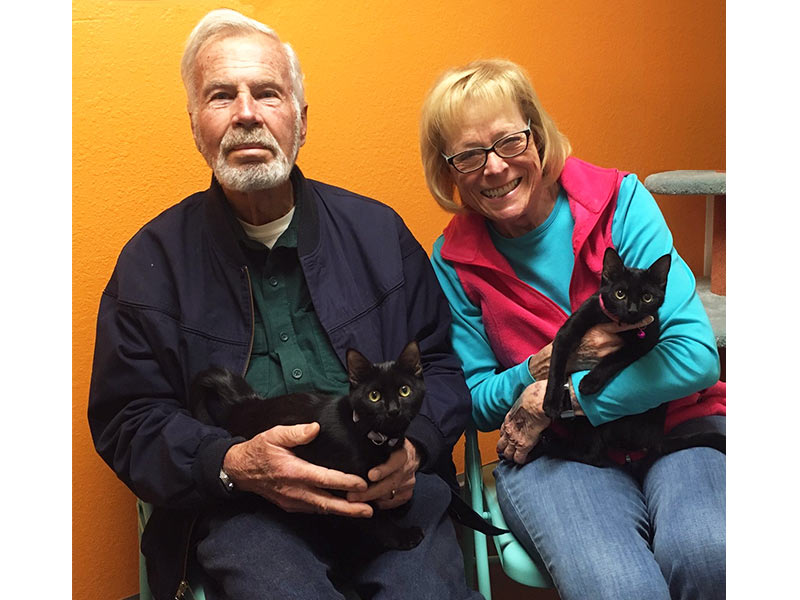 Sally and Midge cats adopted November 2019
