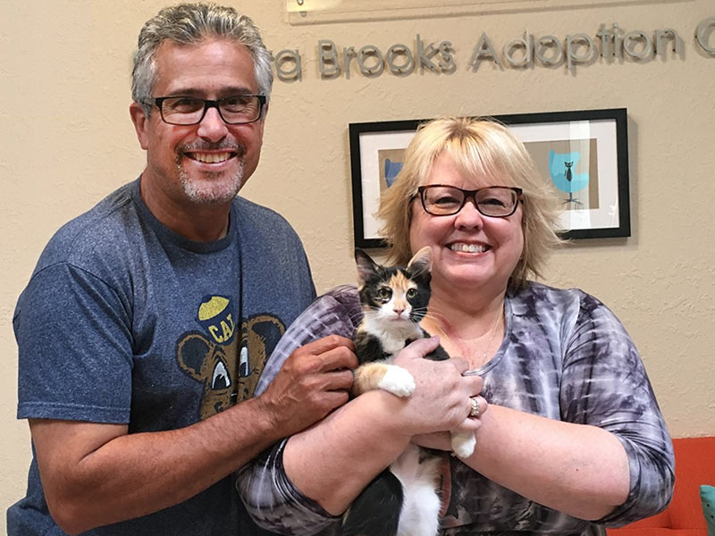 Sophia special needs cat adopted August 2019