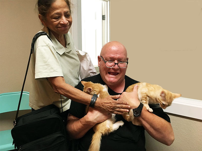 Conan and Angel cats adopted August 2019