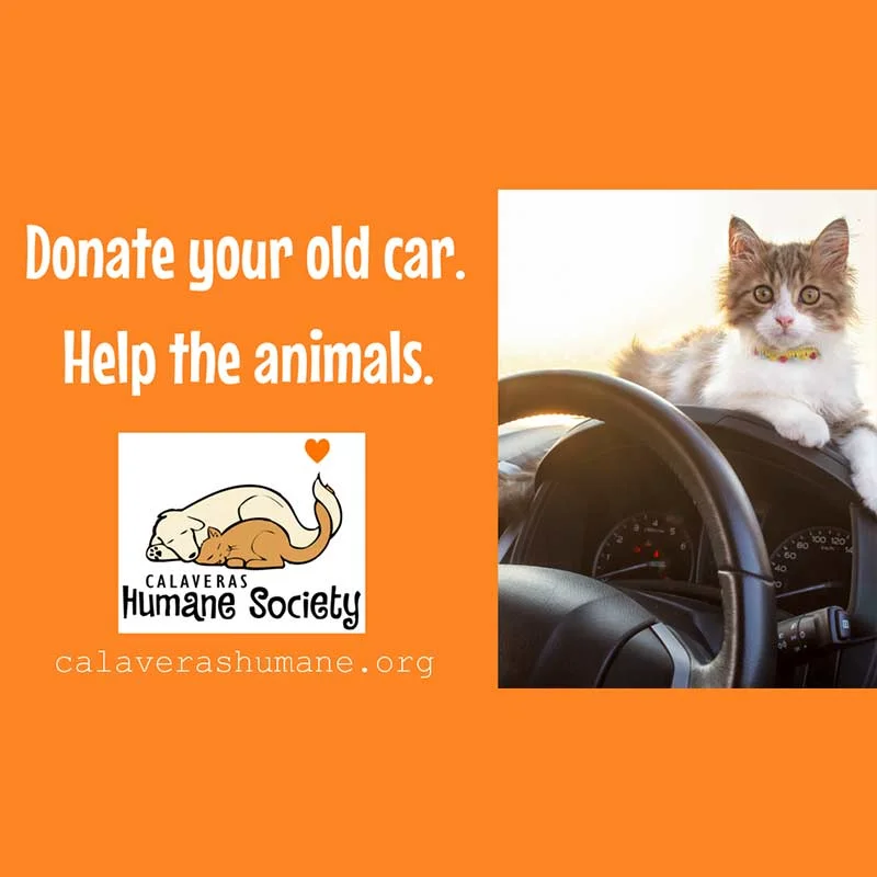 Donate an old vehicle