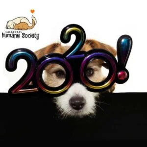 Happy New Year 2020