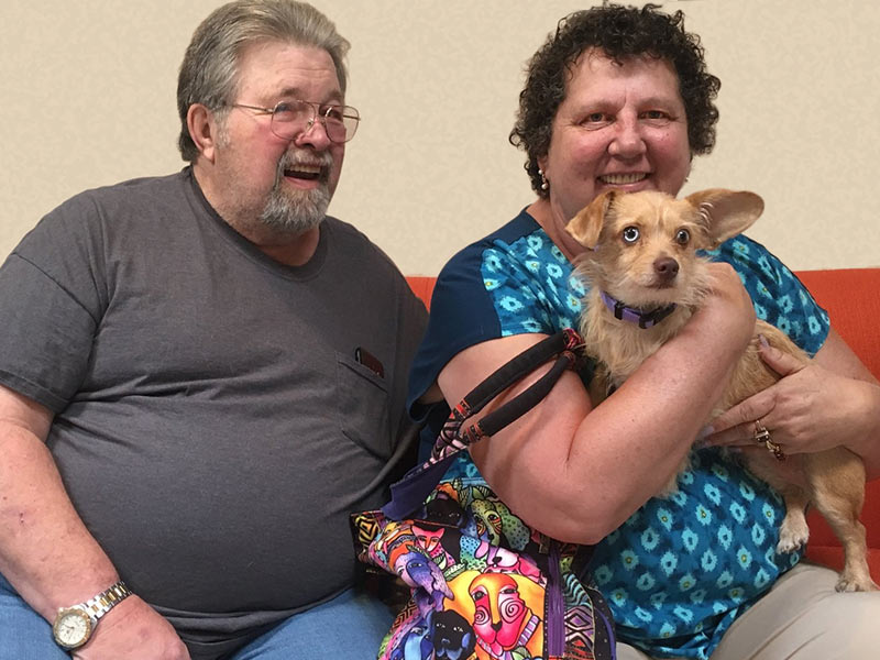 Penny dog adopted September 2019 through Free Pets for Vets program