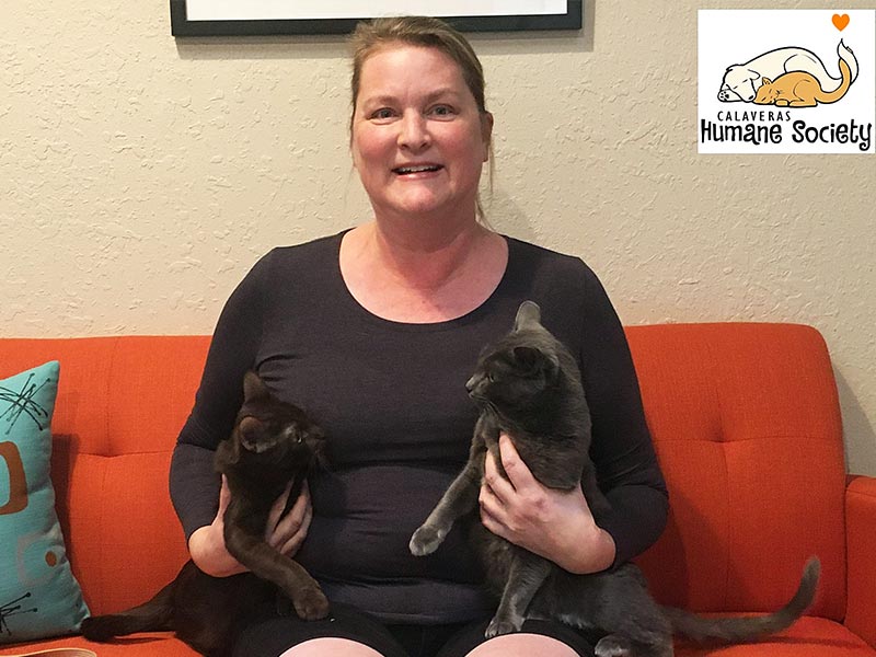 Autumn and Grace cat adopted October 2019