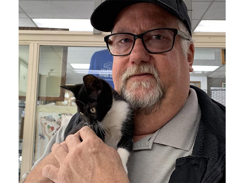 Joey Bishop cat adopted October 2019