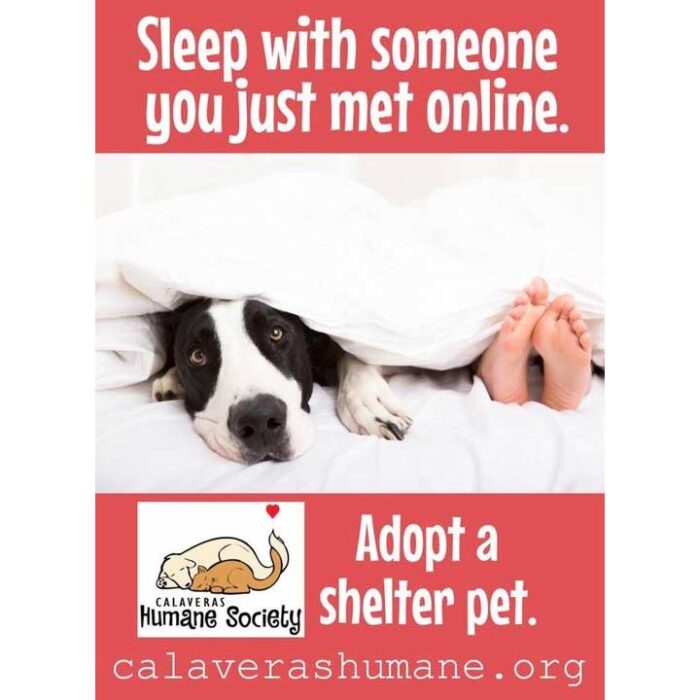 Sleep with someone you just met online...