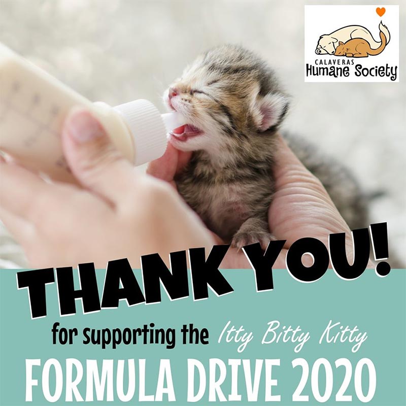 Thank you for your help with Kitten formula drive