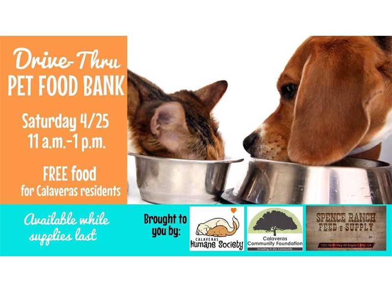 Pet Food Drive Through On Saturday Calaveras Humane Society