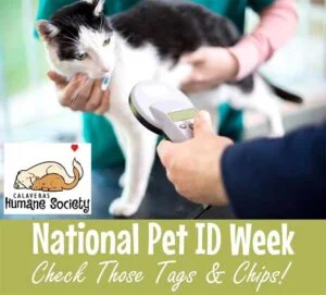 National Pet ID Week