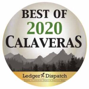 Ledger Dispatch Award - Best Nonprofit of 2020