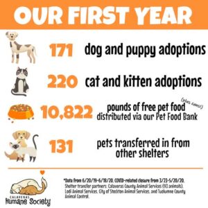 Our first year in the new shelter