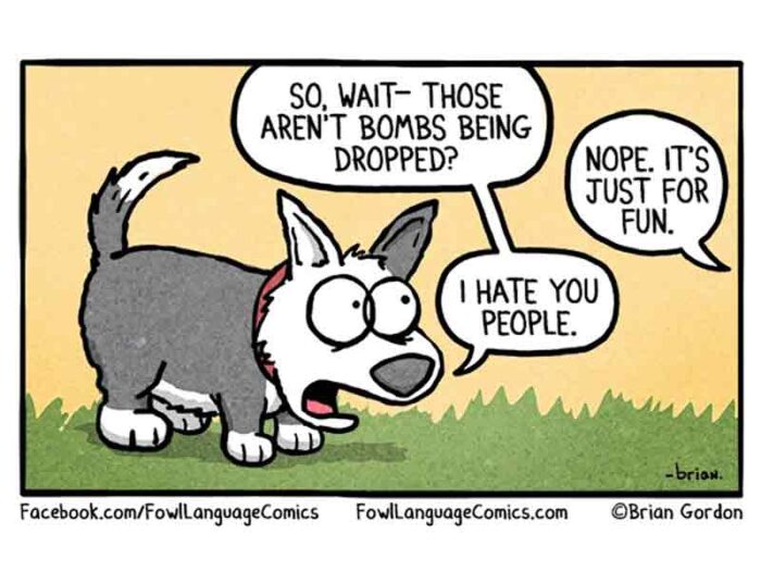 Save your pet - take them inside on Fourth of July