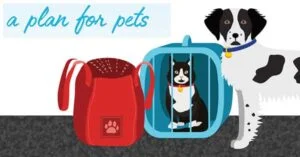 Covid-19 a plan for pets