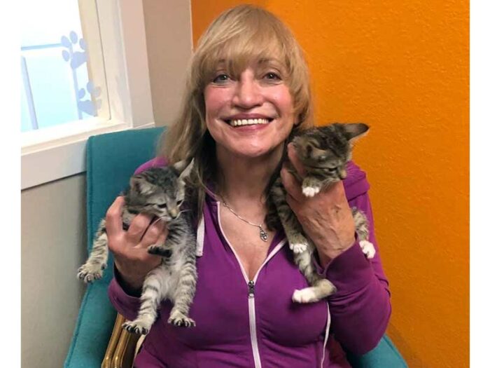 indy and tippy cats adopted July 2020