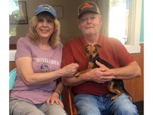 Lyla dog adopted July 2020