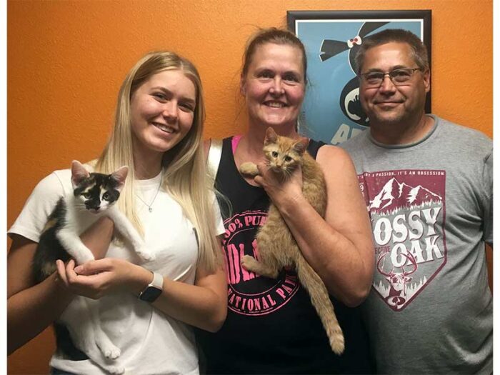 Mila and Julius cats adopted July 2020