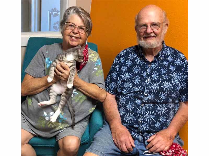 Brutus cat adopted July 2020