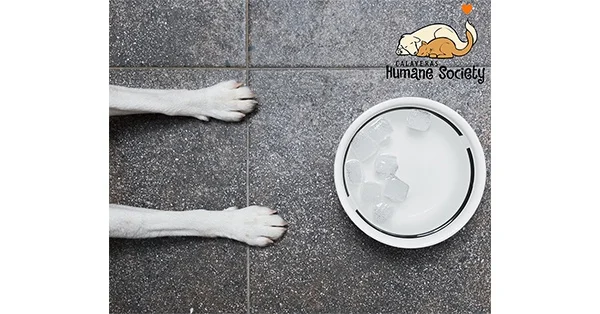 It's Hot Outside!