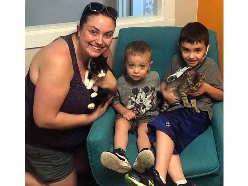Lenny and Penny cats adopted August 2020