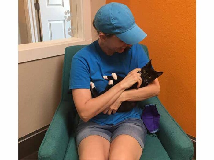 Narnia cat adopted August 2020