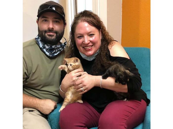 Andy and Tabatha cats adopted September 2020