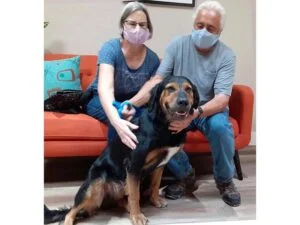 Big Grady dog adopted August 2020