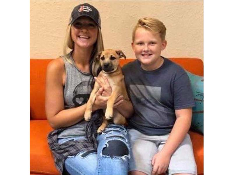 Cash dog at adoption August 2019