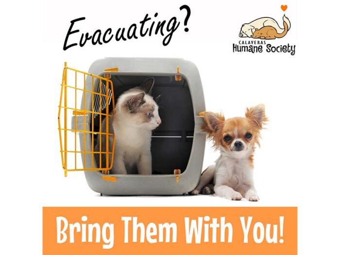 Evacuating? Take Your Pets With You