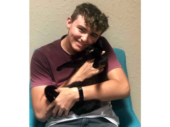 Midnight cat adopted August 2020