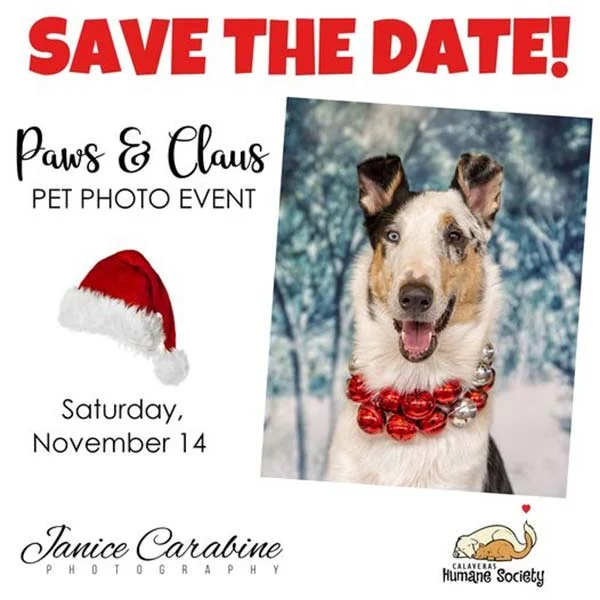 Save the date for our Paws and Claus pet photo event